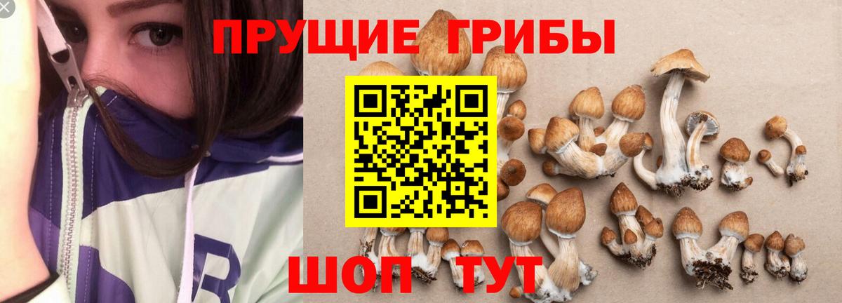 Галлюциногенные грибы ЛСД  Вход с VPN  Корсаков 